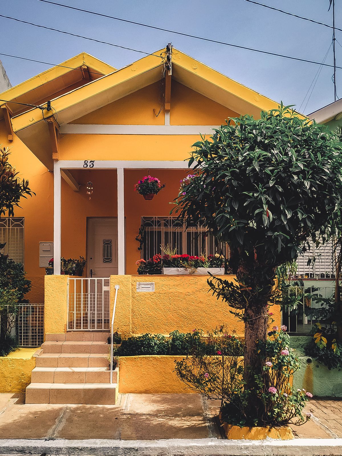 Modern Bungalow Investment